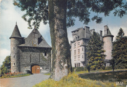 15-POLMINHAC-CHATEAU DE PESTEILS-N°2833-A/0311 - Altri & Non Classificati