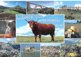 15-PANORAMA DU CANTAL-N°2832-D/0307 - Altri & Non Classificati