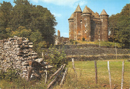 12-LAGUIOLE-CHATEAU DU BOUSQUET-N°2833-D/0165 - Laguiole