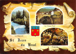 12-SAINT JEAN DU BRUEL-N°2833-D/0139 - Sonstige & Ohne Zuordnung