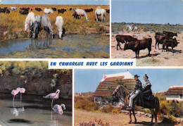 13-PANORAMA DE CAMARGUE-N°2834-B/0181 - Other & Unclassified