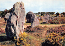 56-CARNAC-N°2834-B/0031 - Carnac