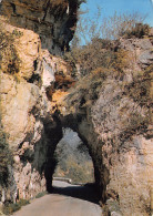 48-LES GORGES DU TARN-N°2835-B/0061 - Other & Unclassified