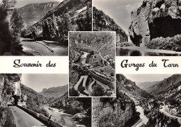 48-LES GORGES DU TARN-N°2834-D/0137 - Other & Unclassified