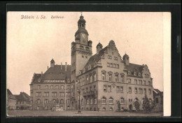 AK Döbeln I. Sa., Rathaus Mit Brunnen  - Doebeln