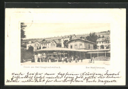 Präge-AK Bad Langenschwalbach, Kurgäste Am Stahlbrunnen  - Langen