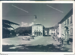 C608 - Bozza Fotografica Provincia Di Varese- Luino - Piazza Liberta'-bella - Varese