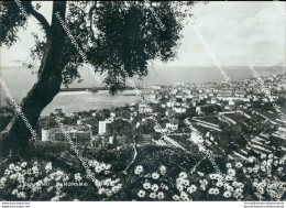 Cg175 Cartolina Sanremo Panorama Provincia Di Imperia Liguria - Imperia