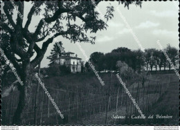 Cg172 Cartolina Saluzzo Castello Del Belvedere Provincia Di Cuneo Piemonte - Cuneo