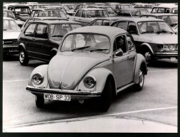 Fotografie Auto VW Käfer 1200, Volkswagen PKW  - Auto's