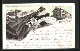 Lithographie Zell Am See, Hotel Schmittenhöhe, Blick Zum Grossglockner  - Autres & Non Classés