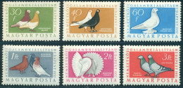 1957 Pigeons,Taube,International Pigeon Exhibition Budapest,Hungary,1505,MNH - Columbiformes