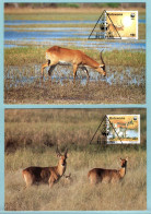 Carte Maximum Botswana - WWF  Antilopes - Cartes-maximum