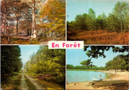 4-6-2024 (16) France  - Arbre En Forêt / Tree In Forest - Arbres