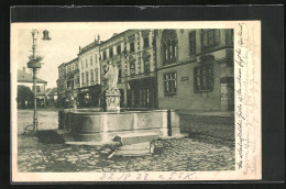 AK Mähr-Neustadt, Stadtplatz Mit Brunnen  - Tschechische Republik