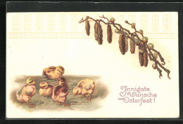 AK Osterküken Und Kätzchenzweig, Ostergruss  - Pâques