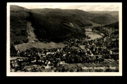 Manebach OT Von Ilmenau, Blick Auf Den Ort - Otros & Sin Clasificación