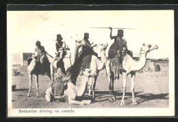 CPA Besharins Reiten Auf Kamelen  - Unclassified