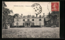 CPA Cellettes, Chateau De La Rozelle  - Autres & Non Classés