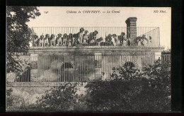 CPA Cheverny, Chateau, Le Chenil  - Cheverny