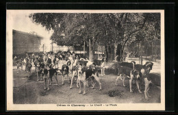 CPA Cheverny, Chateau, Le Chenil, La Meute, Chiene  - Cheverny