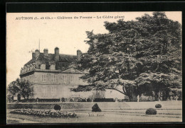 CPA Authon, Chateau Du Fresne, Le Cedrr Geant  - Autres & Non Classés