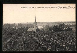 CPA Thezee, Vue Generale, Vignobles Renommes  - Other & Unclassified