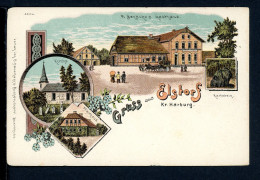 AK Elstorf LK Harburg Um 1900 P. Benecke's Gasthaus Pfarrhaus, Karlstein (PK0335 - Autres & Non Classés