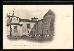 CPA Savigneux, Chateau De Montrouge  - Sonstige & Ohne Zuordnung