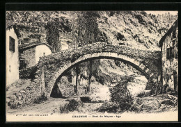 CPA Chagnon, Pont Du Moyen-Age  - Autres & Non Classés