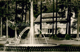 73763613 Wildemann Pension Haus Sonneck Brunnen Wildemann - Wildemann