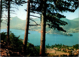 4-6-2024 (20) France - Arbres A Annecy (trees Near Annecy) - Arbres