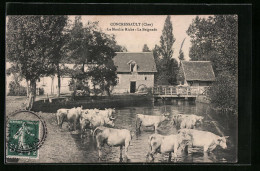 CPA Concressault, Le Moulin Riche, La Baignade  - Autres & Non Classés