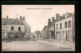 CPA Chilleurs-aux-Bois, Place Et Grande Rue  - Autres & Non Classés