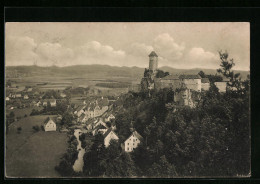 AK Neuhaus / Pegnitz, Gesamtansicht Mit Burg Veldenstein  - Pegnitz