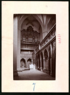 Fotografie Brück & Sohn Meissen, Ansicht Meissen I. Sa., Blick Auf Lettner Und Orgel Im Dom Zu Meissen  - Plaatsen