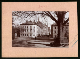 Fotografie Brück & Sohn Meissen, Ansicht Freiberg I. Sa., Peterstrasse Mit Wohnhäusern  - Orte