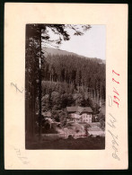 Fotografie Brück & Sohn Meissen, Ansicht Kipsdorf I. Erzg., Blick Auf Die Schäfermühle  - Plaatsen