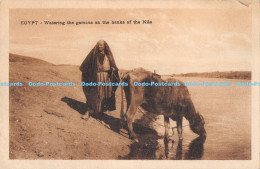 R172856 Egypt. Watering The Gamous On The Banks Of The Nils. B. Livadas And Cout - World