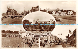 R173787 Peterborough. RP. 1955. Multi View - World