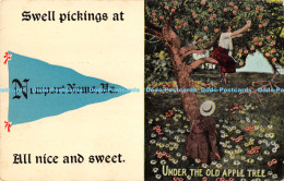 R173818 Swell Pickings At Newport News. All Nice And Sweet. Under The Old Apple - Monde