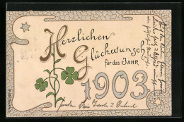 Künstler-AK Glückwünsche Zum Neujahr 1903  - Other & Unclassified