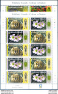 Flora E Fauna 2012. 2 Minifogli. - Falklandinseln