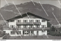 At280 Cartolina Kizbuhel Tirol Hotel Pensione Alpina - Autres & Non Classés
