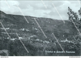 Cg195 Cartolina Baselica Di Guinadi Panorama Provincia Di Massa Carrara - Massa