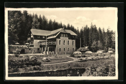 AK Waldbärenburg /sächs. Erzgebirge, Hotel Schäfermühle, Aussenterrasse  - Other & Unclassified