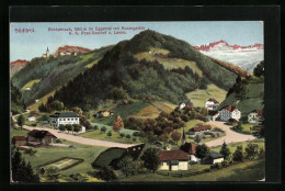 Cartolina Birchabruck, Ortsansicht Mit Rosengarten Und K.K. Post-Gasthof Z. Lamm  - Andere & Zonder Classificatie