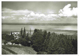 13980832 Walzenhausen_AR Panorama Mit Pension Rosenberg - Sonstige & Ohne Zuordnung