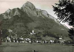 13980823 Sargans_SG Mit Schloss Und Gonzen - Autres & Non Classés