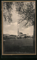 AK Hammelburg, Ortspartie Mit Kirche Und Baum  - Hammelburg